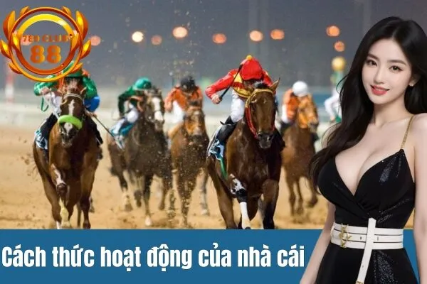 Mẹo dự đoán kết quả đua ngựa cực hấp tại 789club