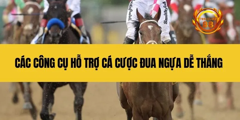 Các công cụ hỗ trợ cá cược đua ngựa dễ thắng