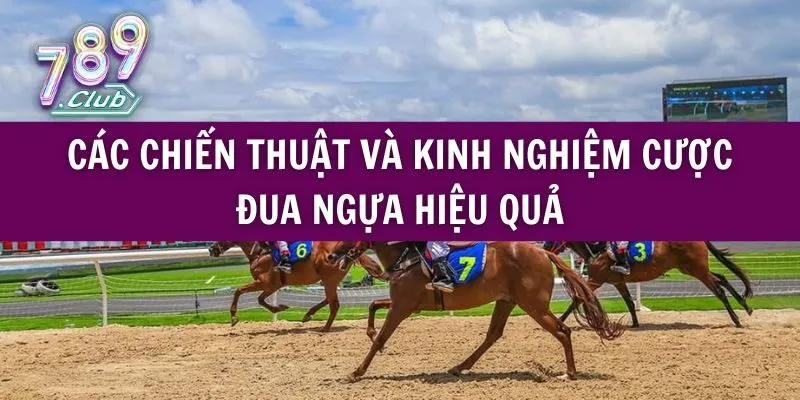 Các Chiến Thuật Và Kinh Nghiệm Cược Đua Ngựa Hiệu QuảNghiên cứu thông tin